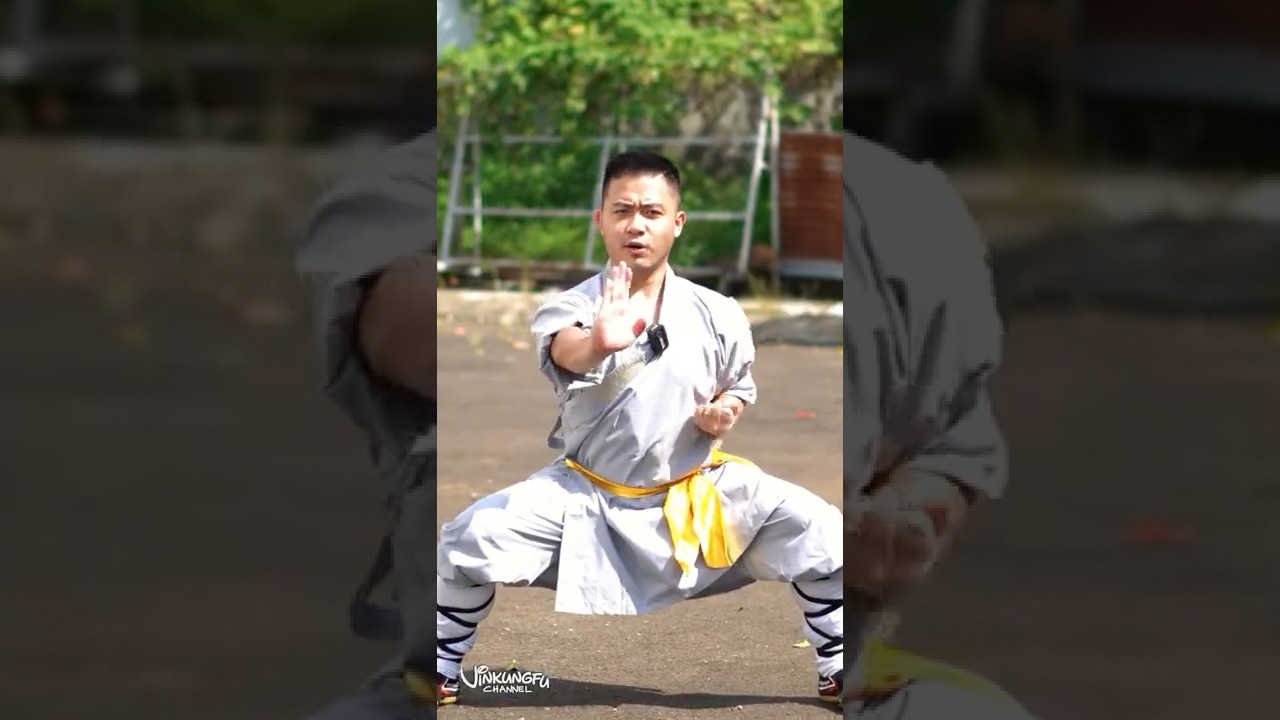 M&atilde; Bộ Luyện V&otilde; Thiếu L&acirc;m #Shorts