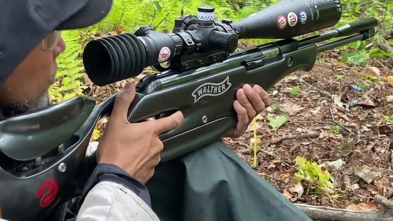 Anatomy of an air rifle field target shot
