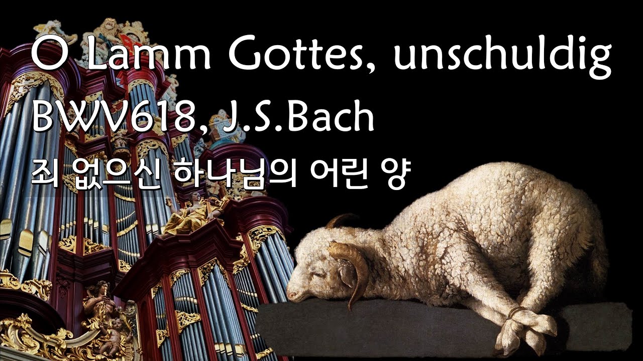 J.S.Bach - O Lamm Gottes, unschuldig BWV618 죄 없으신 하나님의 어린 양 / Haarlem Organ(HW7)