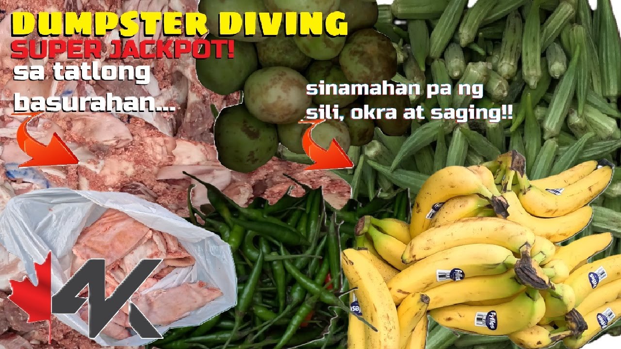 Dumpster Diving SUPER JACKPOT! sa biyaya ng tatlong basurahan walang humpay ang harbat