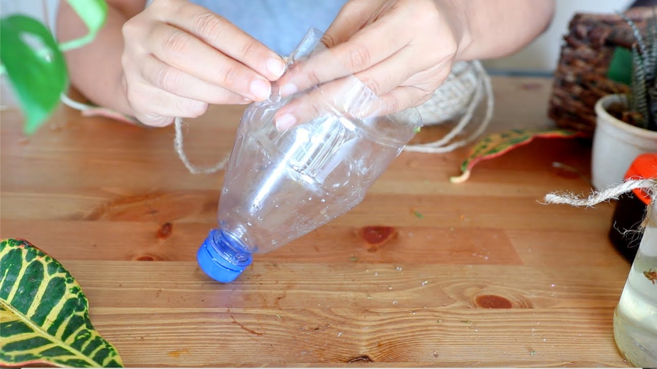 Reuse Plastic Bottles for Growing Plant in 3 Easy Ways | DIY