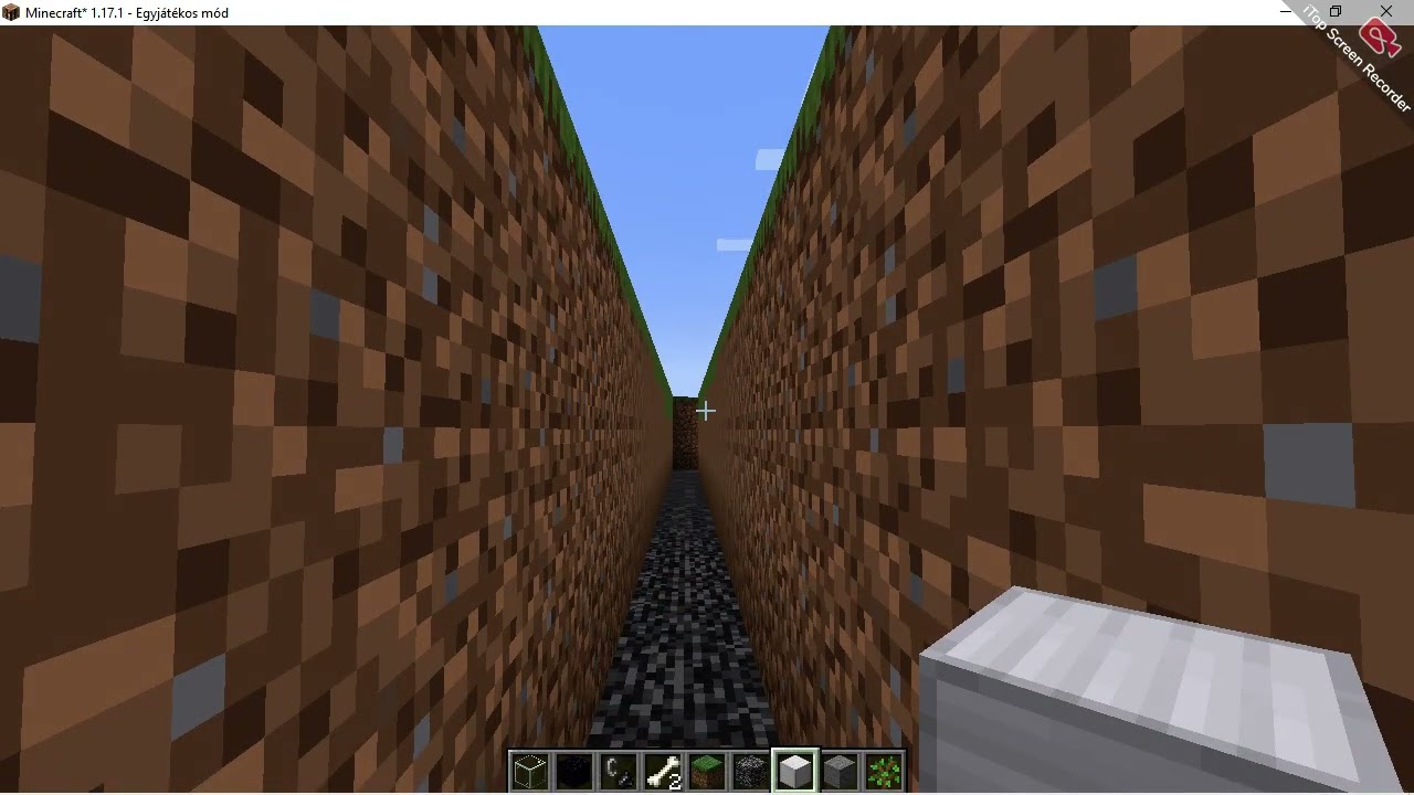 minecraft 1.17.1