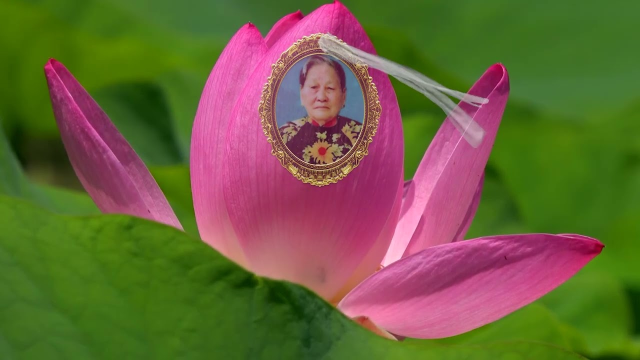 LE TANG: HUYNH THI THIN