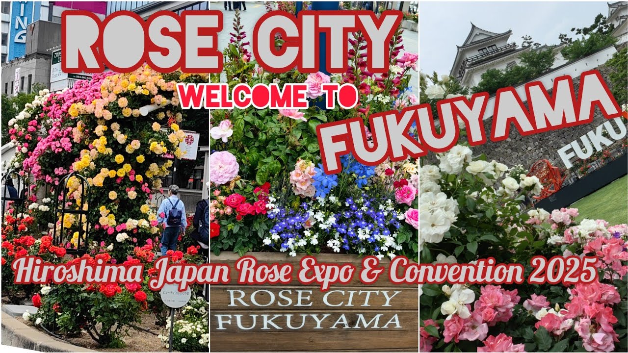 ROSE CITY FUKUYAMA Hiroshima is ready for ROSE EXPO 2025 and 20th WORLD ROSE CONVENTION