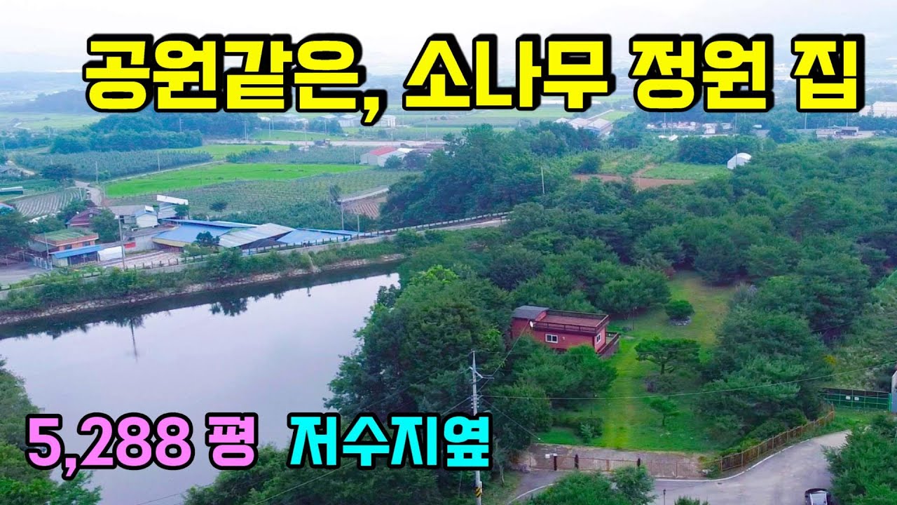 1202. 공원같은, 소나무숲으로 된 매물로 총 토지가 5288평입니다. 전체에 펜스가 설치되어 있고 세컨하우스로 사용할 주택도 있습니다. #전원주택