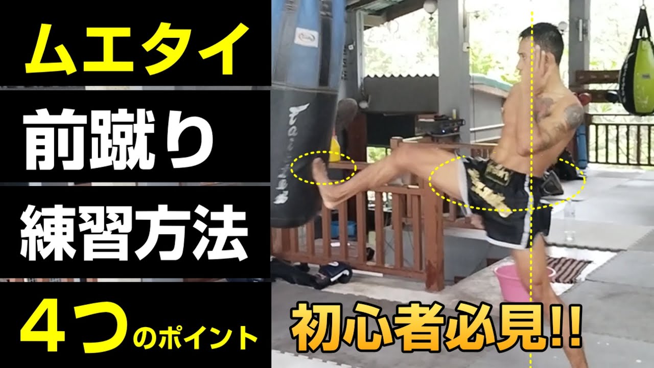 【初心者必見】ムエタイ前蹴り練習方法４つのポイント【ムエタイ前蹴り蹴り方】