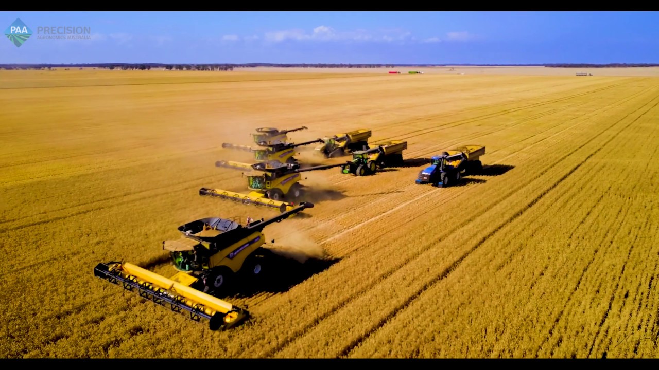 Harvest Esperance 17