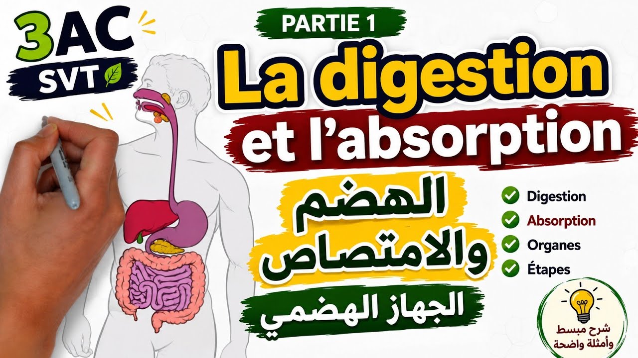 الهضم والامتصاص: جزء الأول- المستوى الثالثة اعدادي| La digestion et l'absorption : 3AC SVT