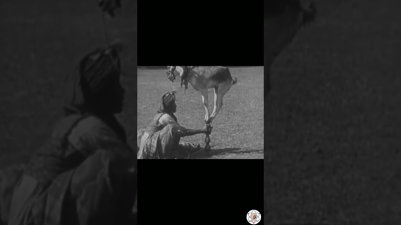 India under British rule