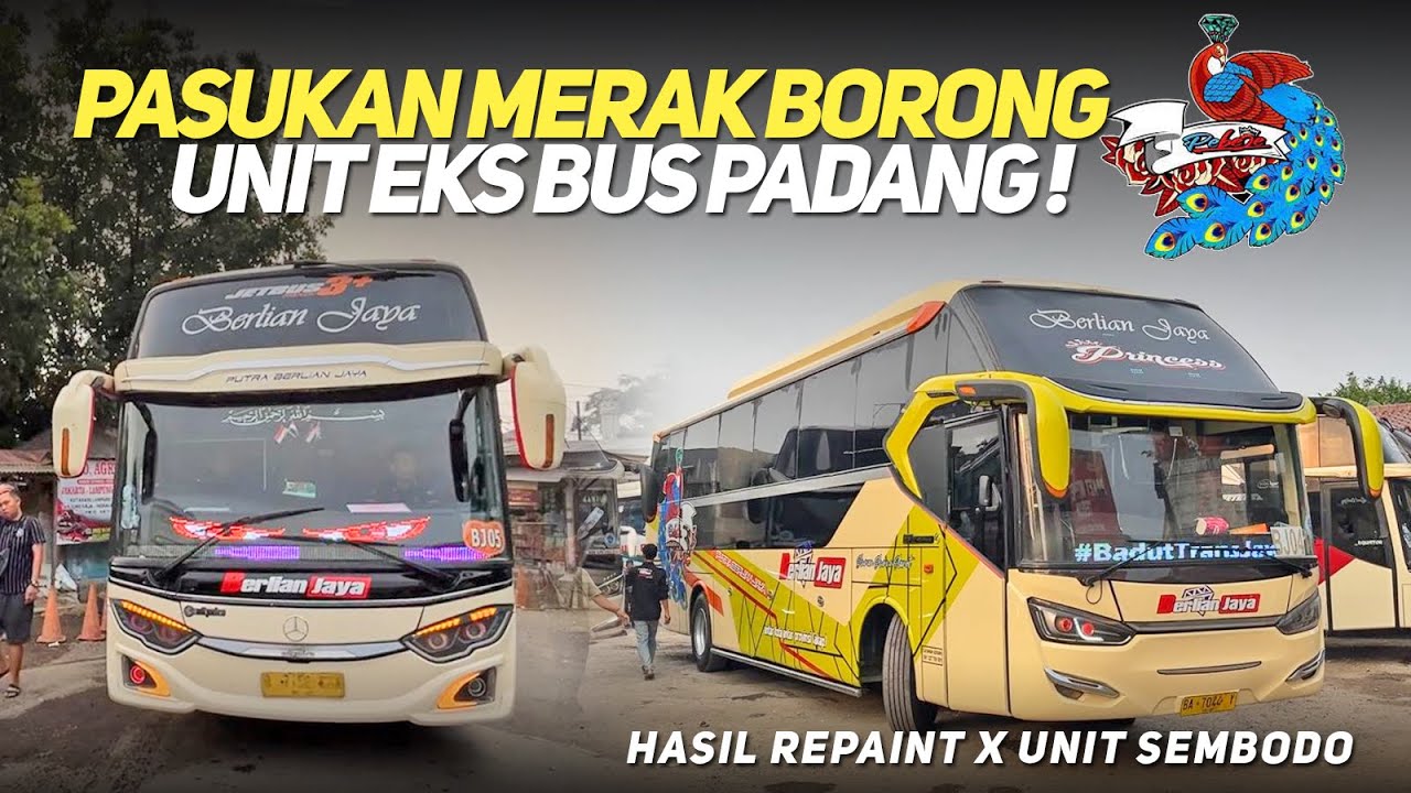 BORONG UNIT EKS BUS PADANG, PASUKAN MERAK TAMBAH BANYAK‼️BERLIAN JAYA X SEMBODO SELESAI REPAINT‼️