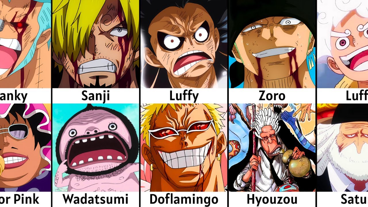 All the Enemies the Straw Hats Defeated (And Who Beat Who)