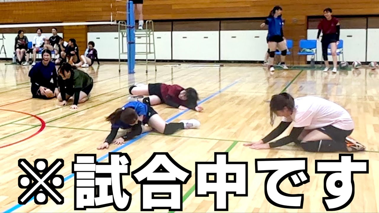 【バレー】wisteria女子が大会に出るとこうなりますwww