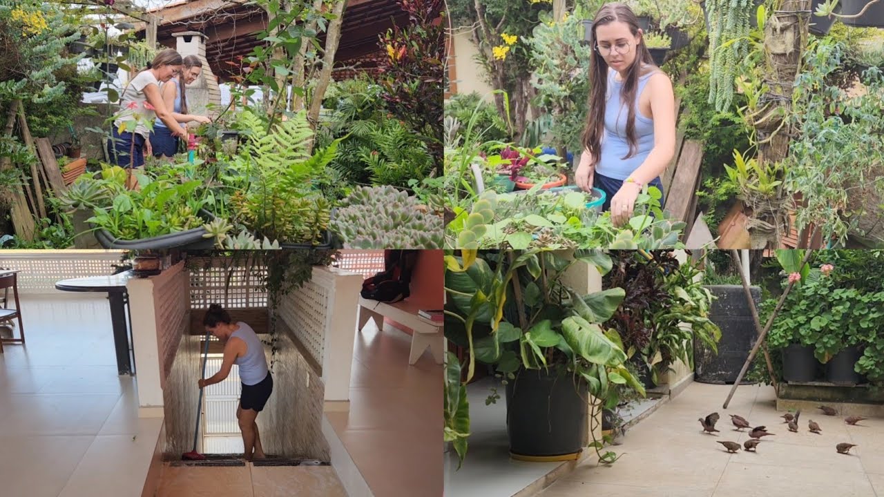 Cuidando do jardim da minha irmã + Olha que coisa linda no quintal