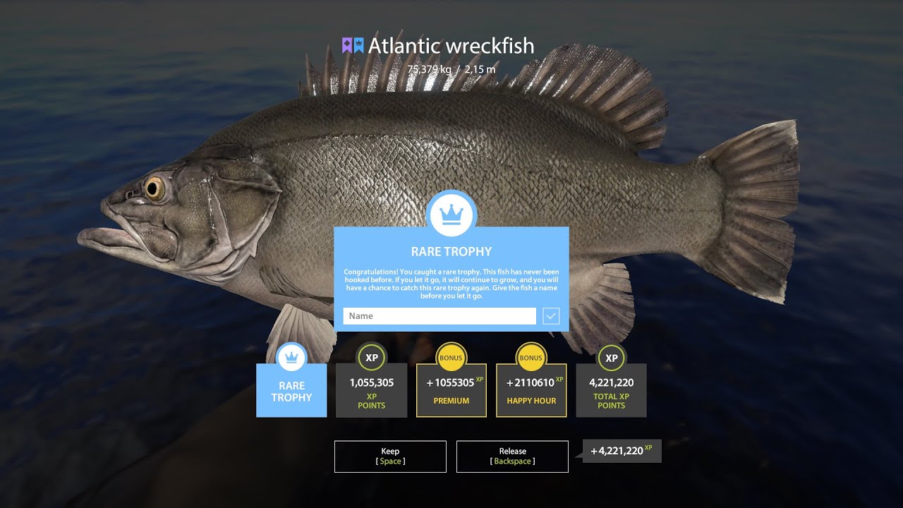 RF4 - Super Trophy Atlantic Wreckfish - 75,379kg - WE BACK