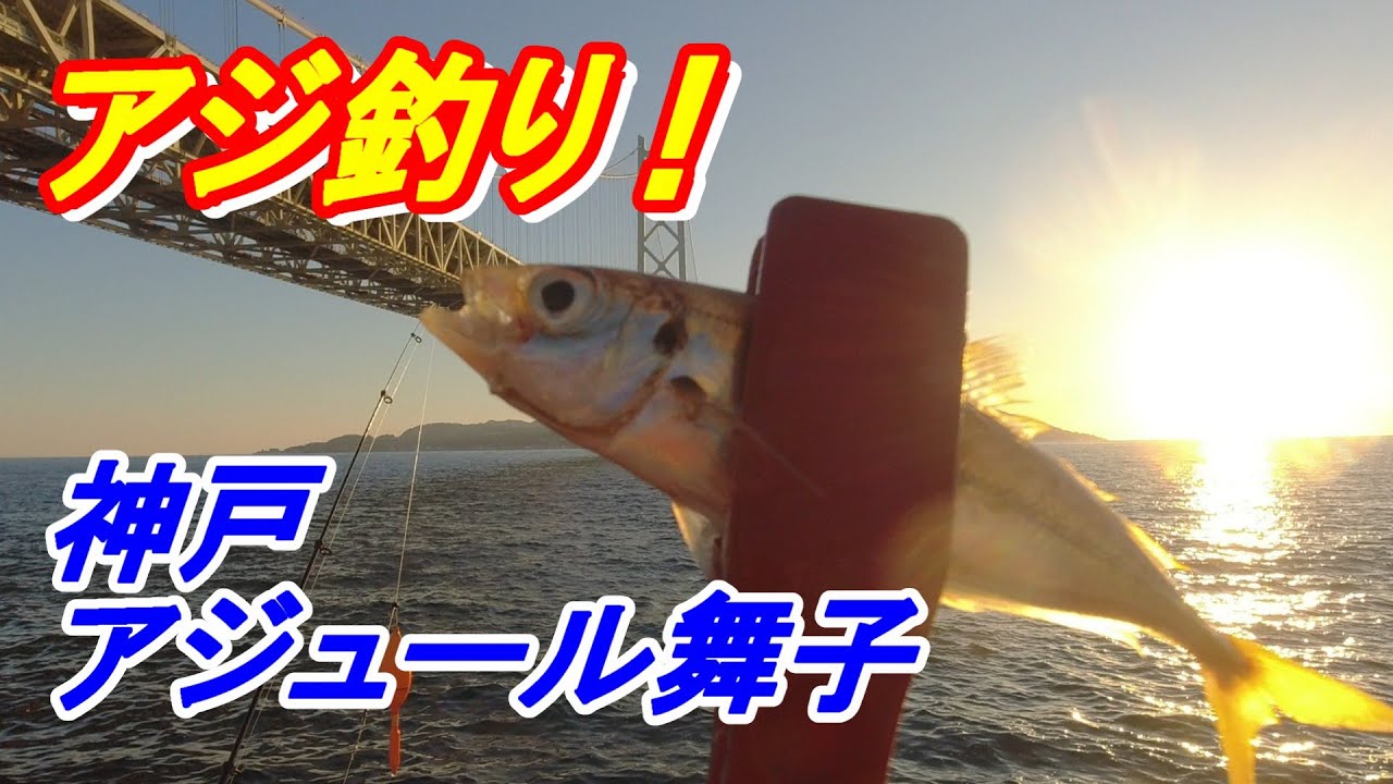 アジ釣り好調！神戸アジュール舞子（明石海峡大橋）のアジ釣り！主に神戸空港～明石・淡路島　#アジ#釣り#神戸