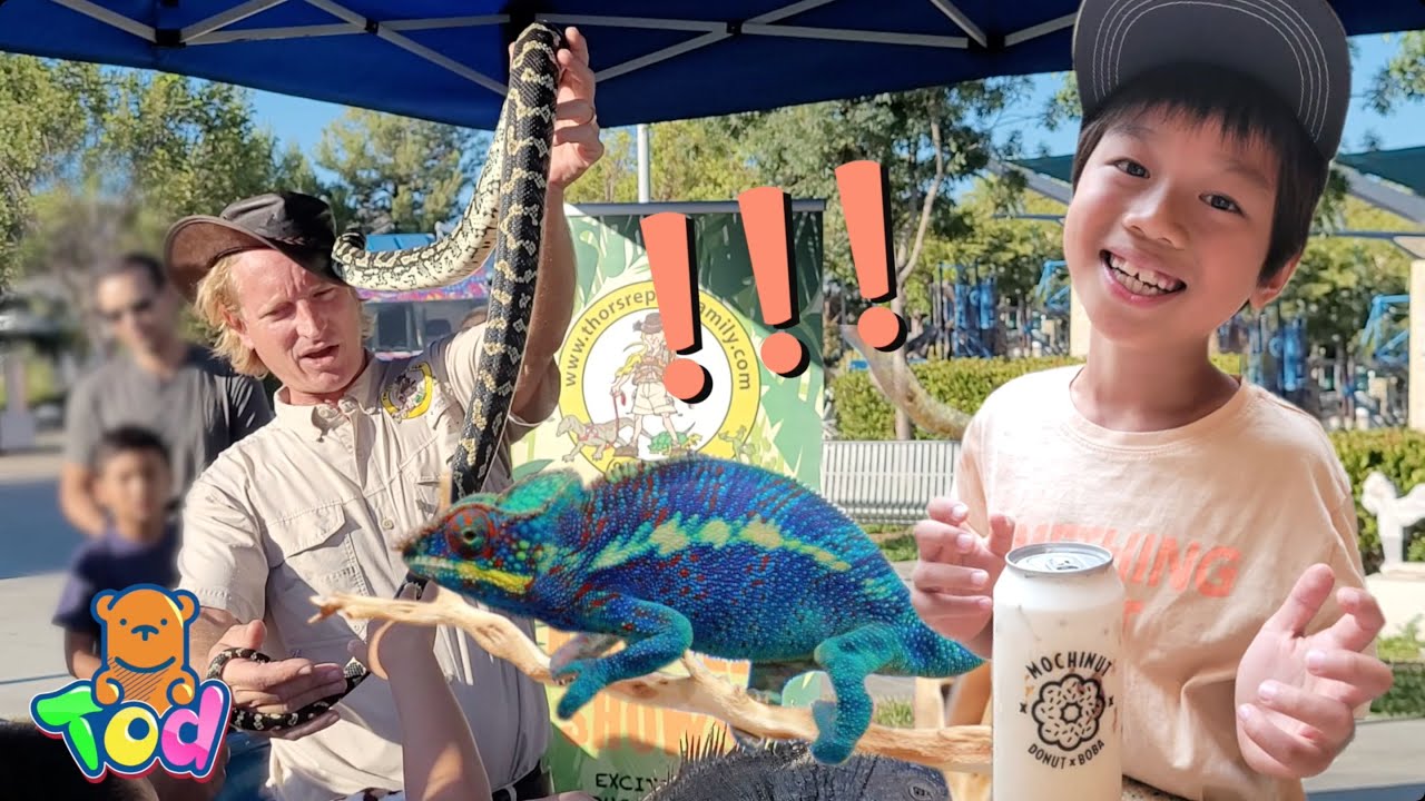 小陶德看巨大蜥蜴、大蟒蛇！去親子科學博物館、彈跳樂園玩！ Kids Giant Lizard Discovery Cube Big Air Trampoline Play