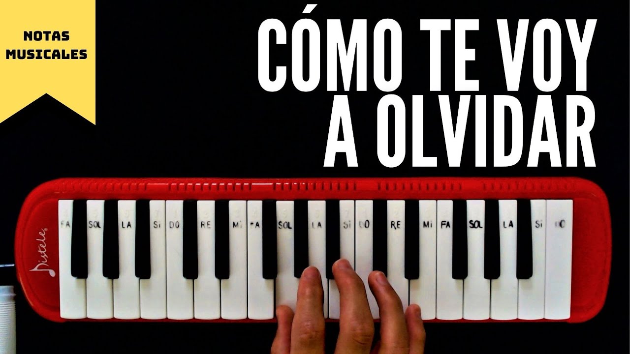Cómo tocar 