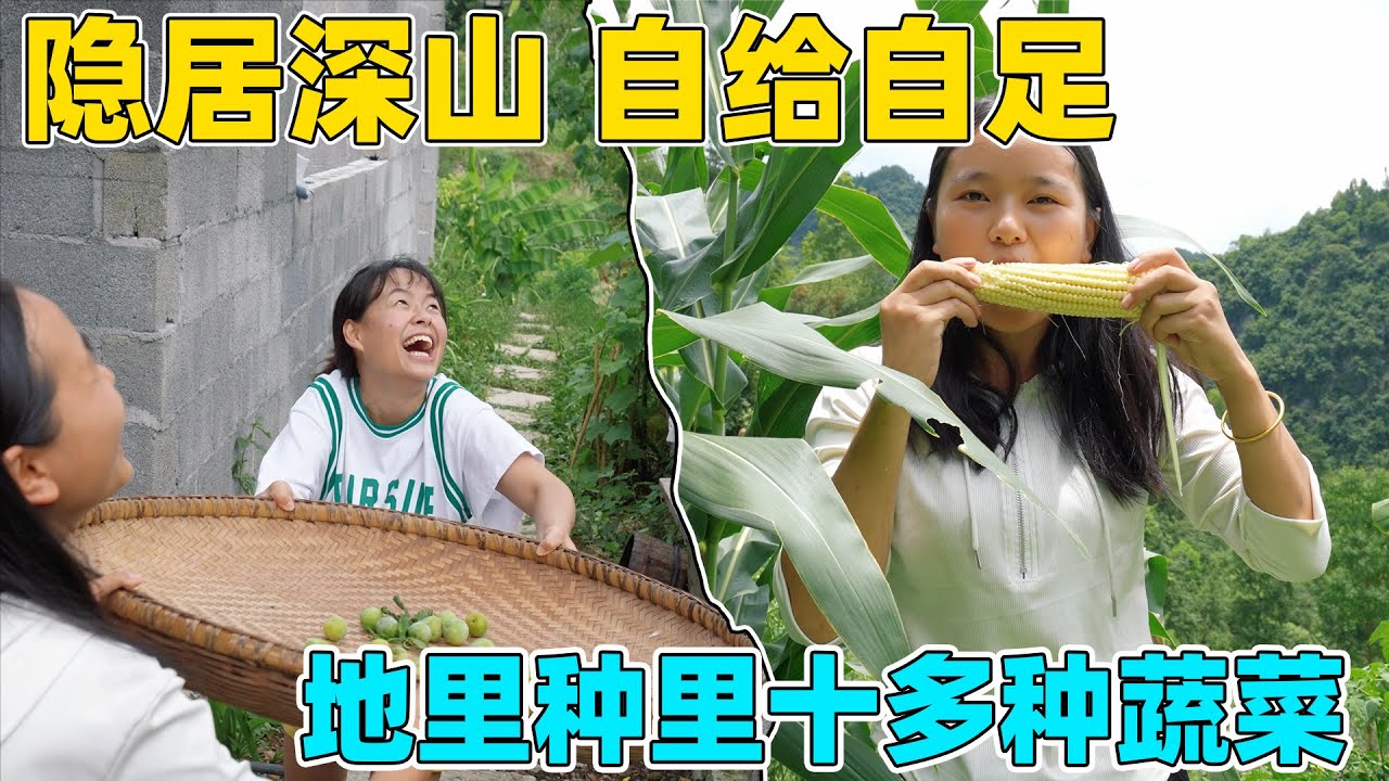90后夫妻隐居深山，过着自给自足的田园生活，地里面种了10多种蔬菜 根本吃不完