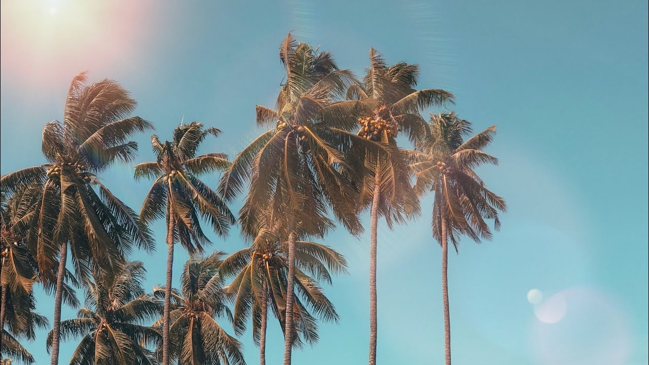 r&uuml;f&uuml;s du sol ~ sundream ⟪slowed + reverb⟫