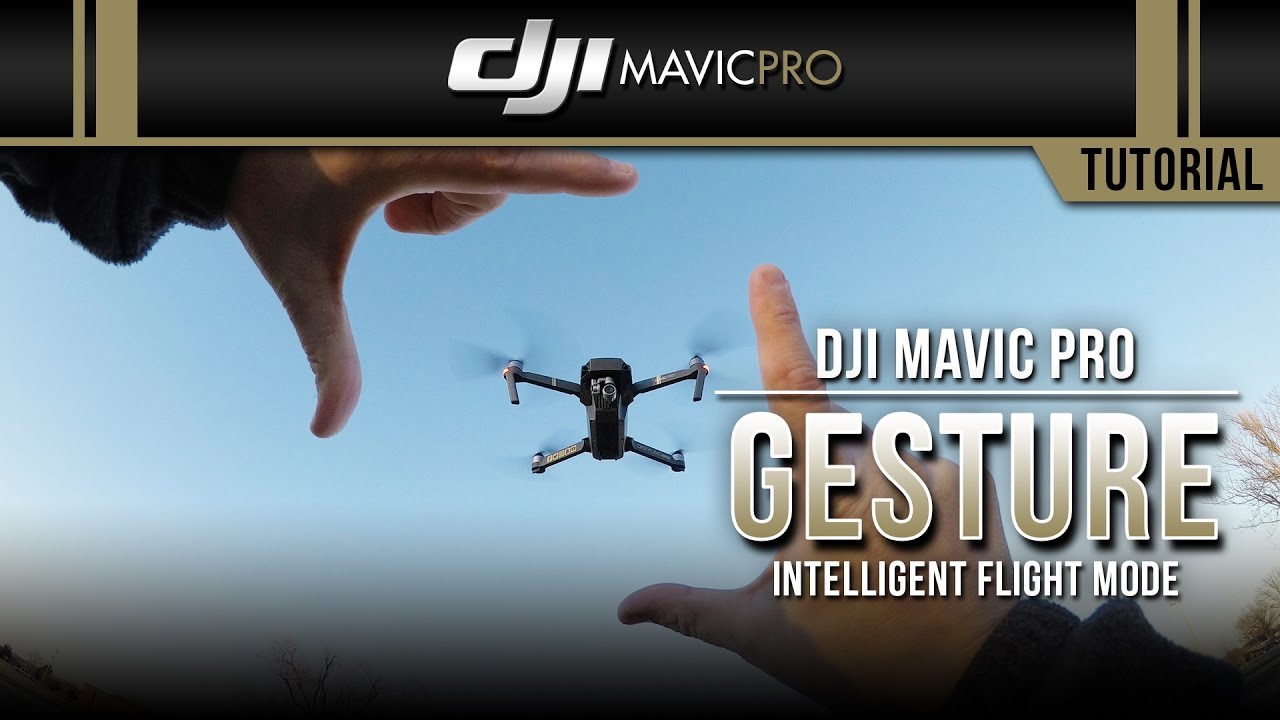 DJI Mavic Pro / Gesture (Tutorial)