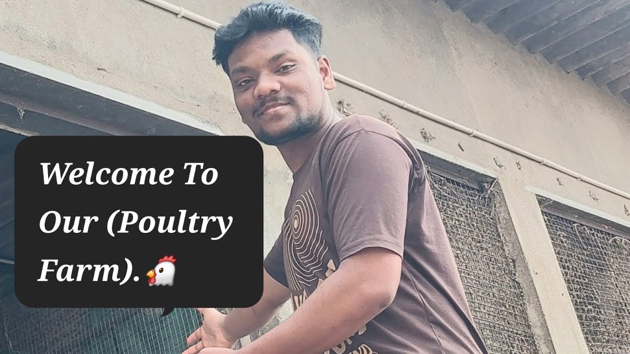 Welcome To Our (Poultry Farm).🐔