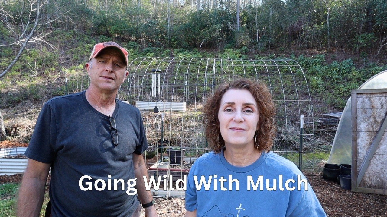 Мы засыпали много мульчи 😁