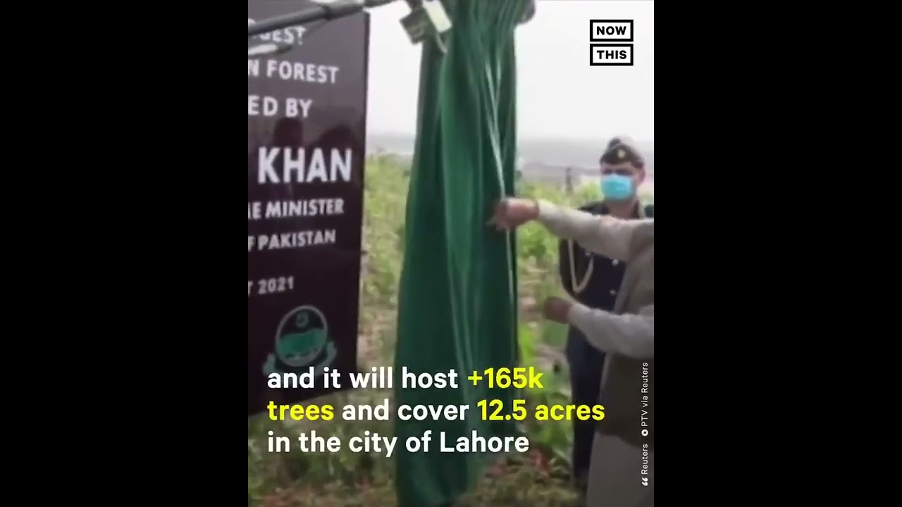Ten Billion Tree Tsunami Program