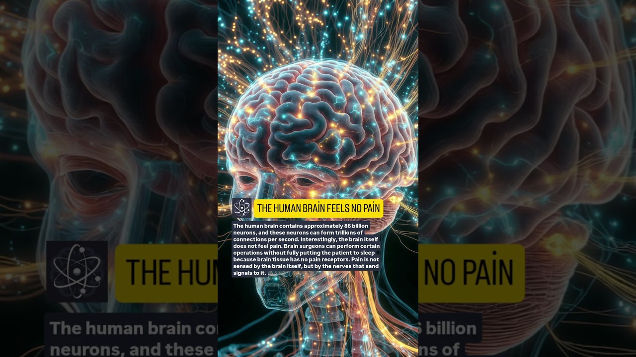 YOUR BRAIN DOESN’T FEEL PAIN