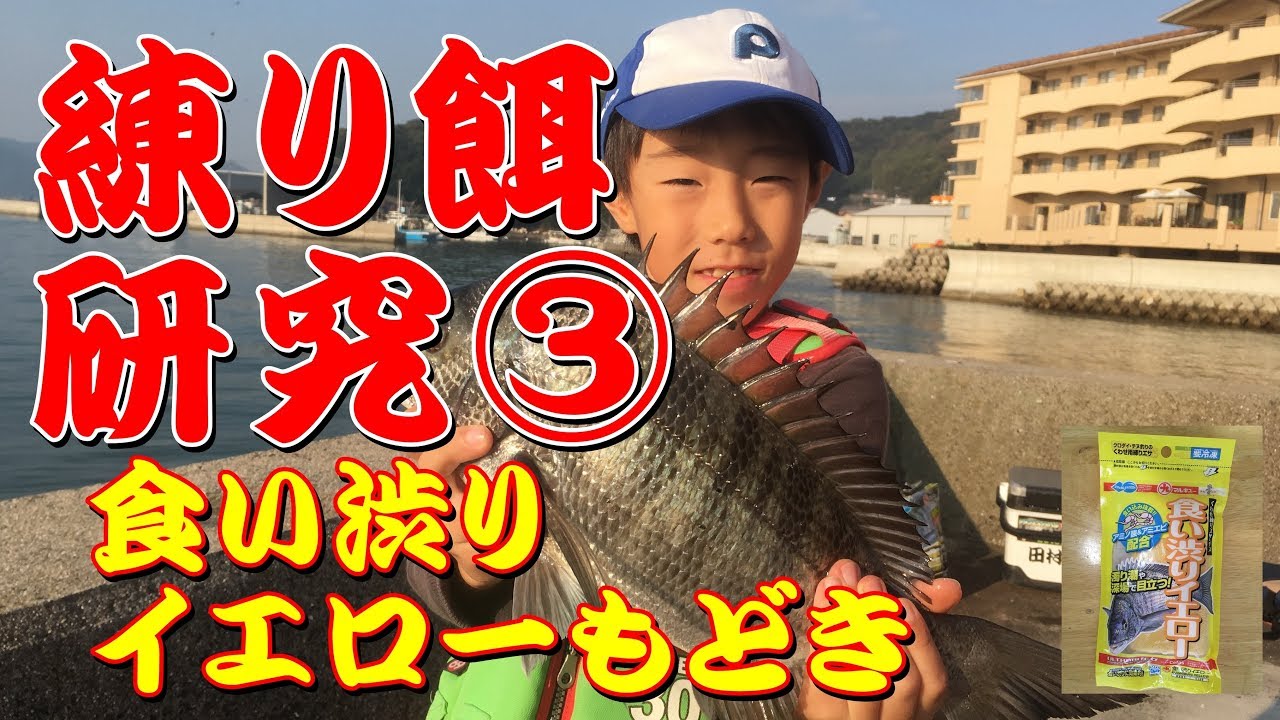 練り餌研究 チヌ釣り用練り餌（第3回）