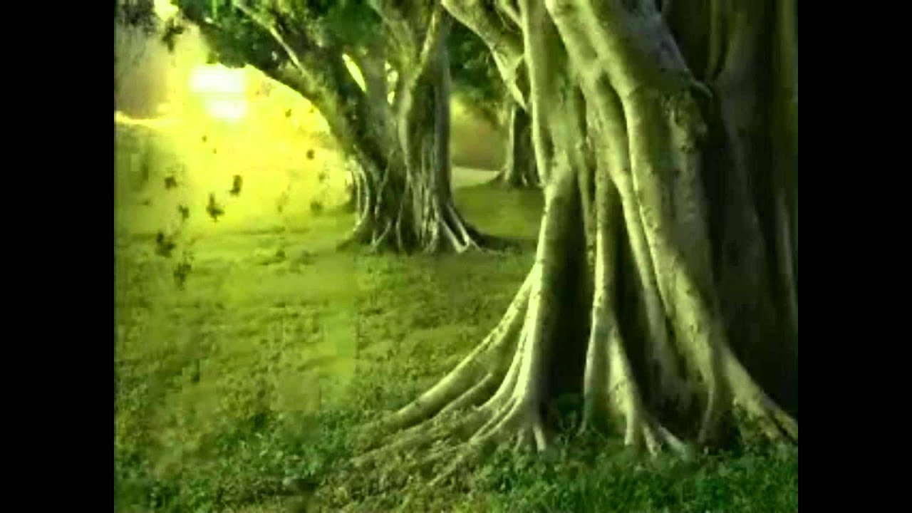 أنا العبد الذي كسب الذنوبا ----عبدالعزيز الأحمد