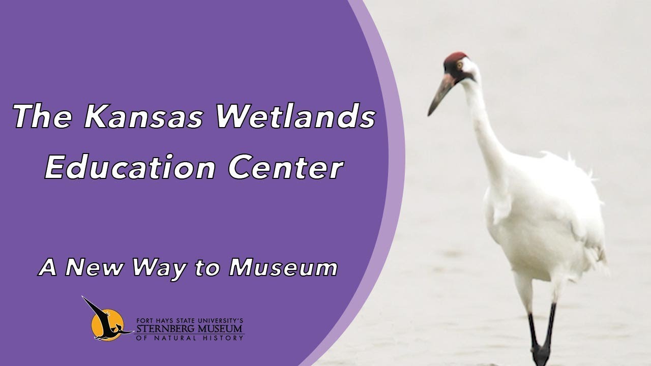 The Kansas Wetlands Education Center | A New Way to Museum