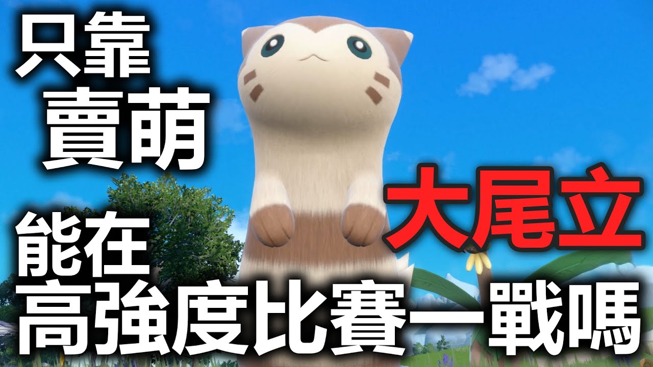 捨棄傷害 + 完全上來賣萌的「搓手手」大尾立，在雙神規也能一戰....嗎?【寶可夢 朱紫】
