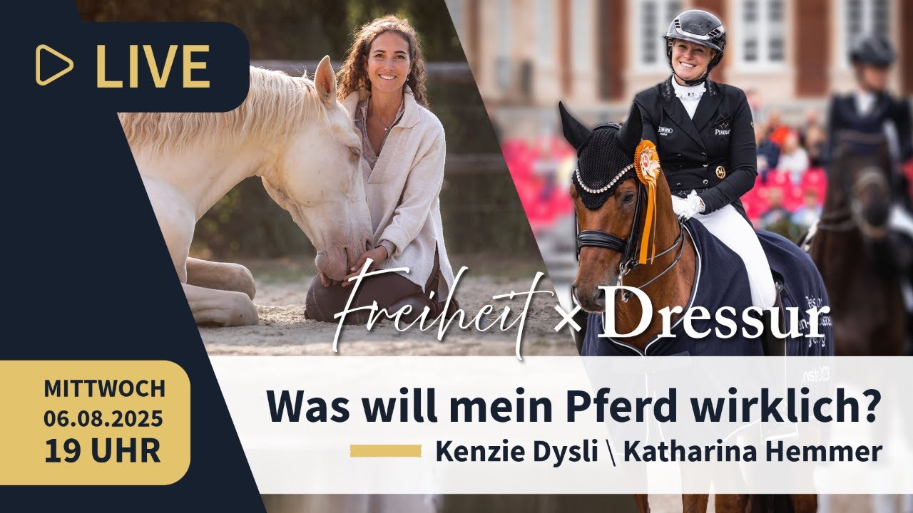 Was will mein Pferd wirklich? | Live mit Kenzie Dysli & Katharina Hemmer