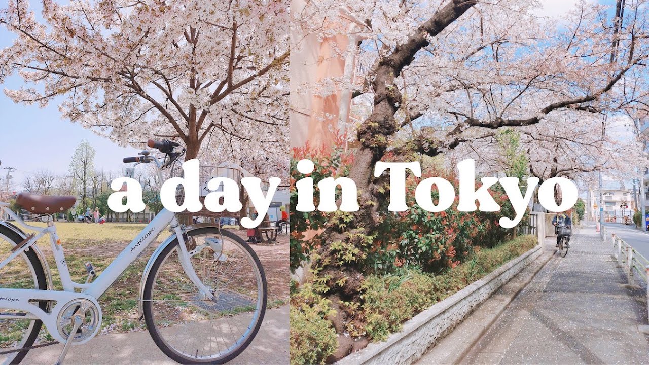 🌸 a day in my life in Tokyo: cherry blossoms | maiden manila