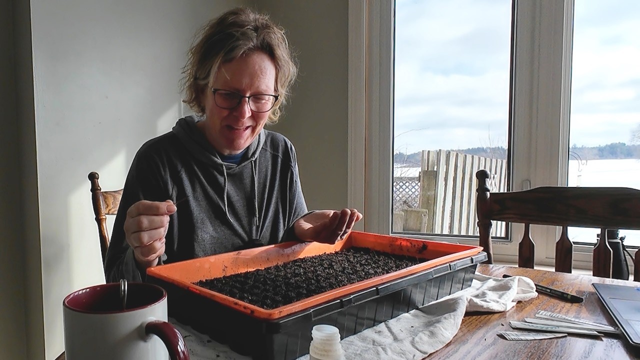 #44  Seeding My Favourite Cut Flower