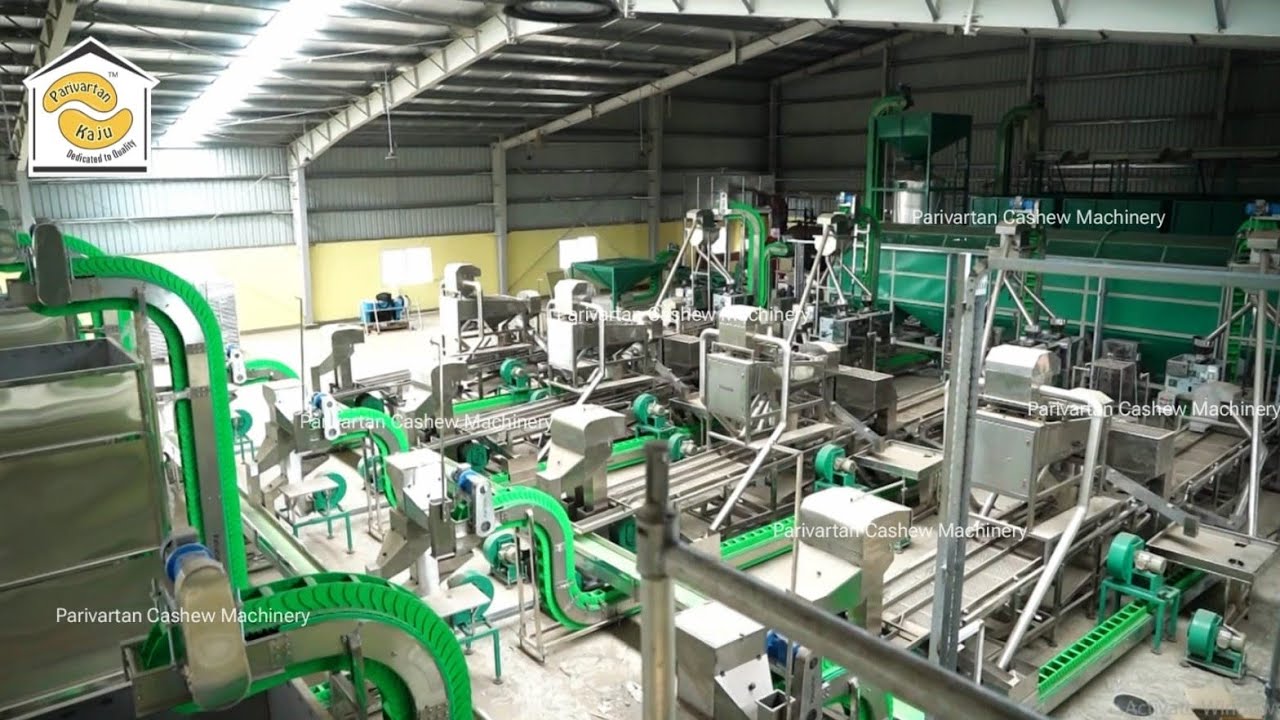 Full Automatic Cashew Processing plant setup / Fabricante líder de máquinas para procesar anacardos