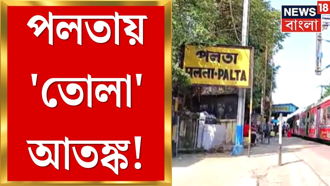 Palta Money Extortion | পলতায় দাপট 'তোলা'বাজদের! কাউন্সিলর ঘনিষ্ঠের বিরুদ্ধে অভিযোগ | Bangla News