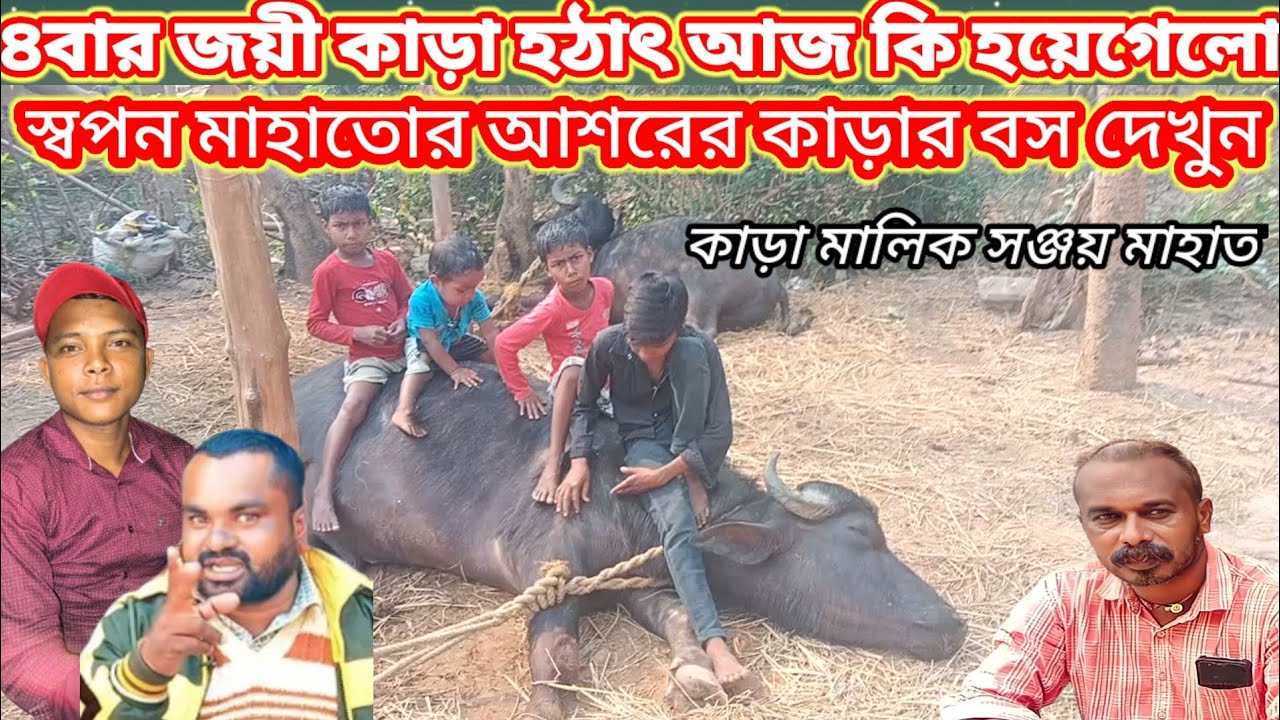 কাড়ার পিঠে চারজন বসে আছে দেখুন। কাড়া মালিক সঞ্জয় মাহাত