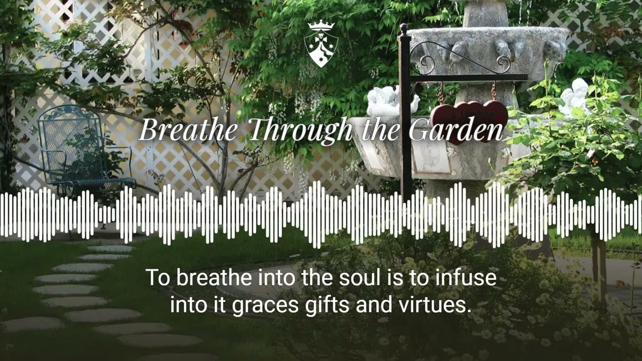 Breathe Through the Garden
