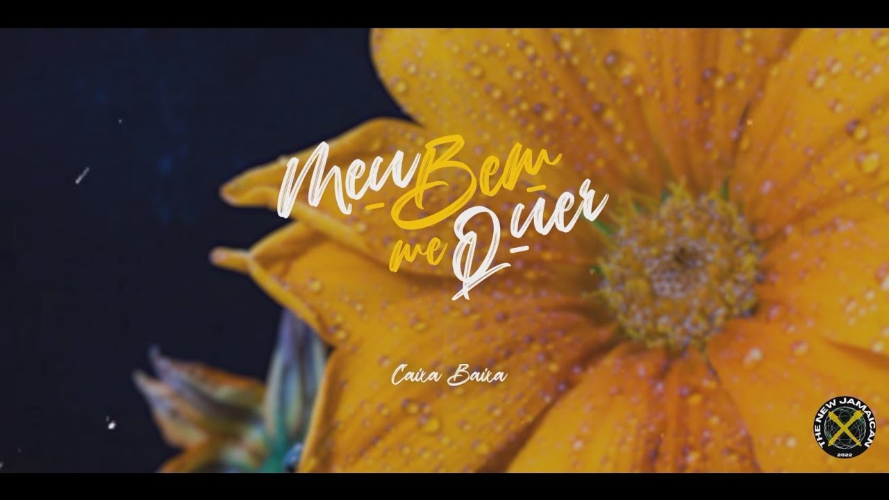 Caixa Baixa - Levitar