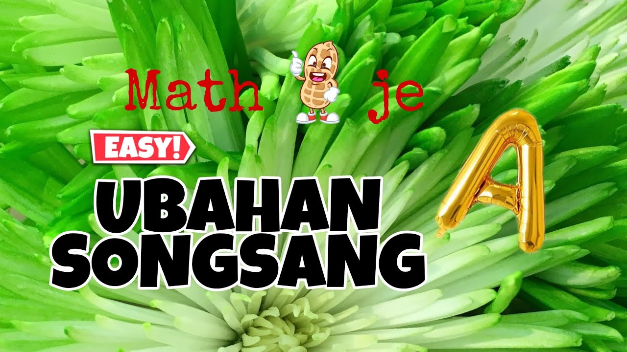 SIRI 3 : BAB 1 TING 5 MATEMATIK KSSM - UBAHAN SONGSANG