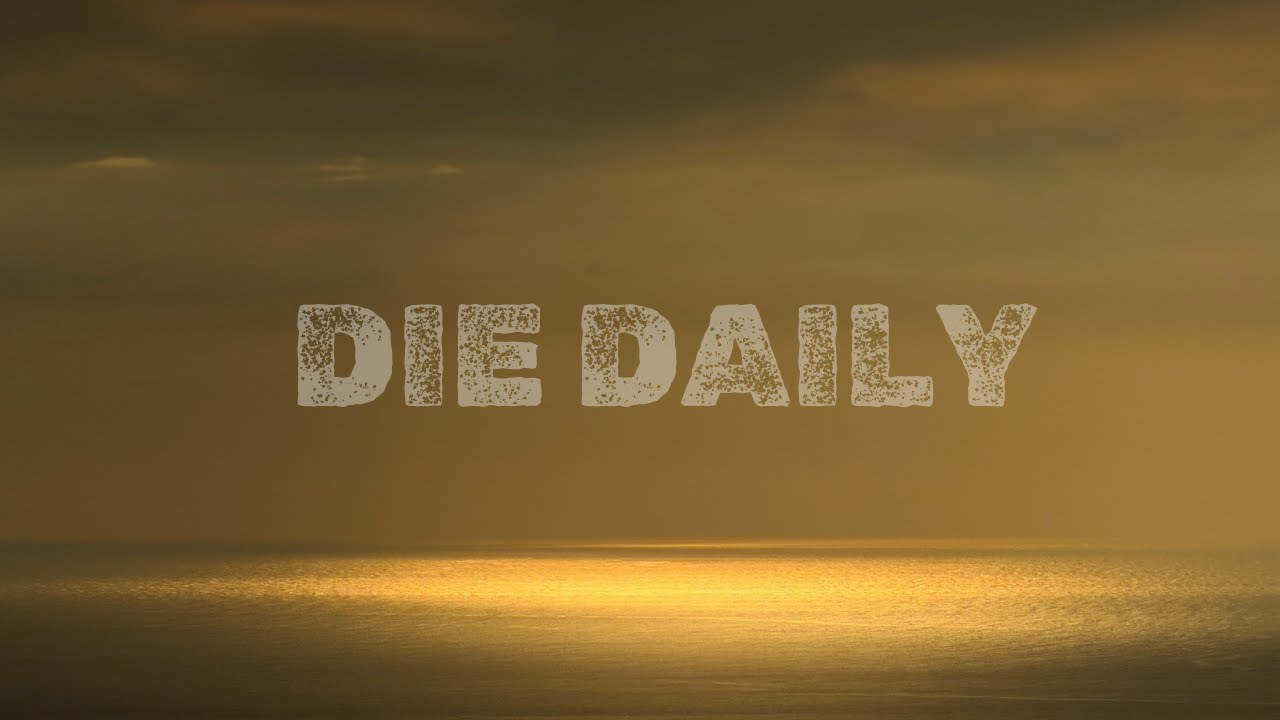 Die Daily in 2026