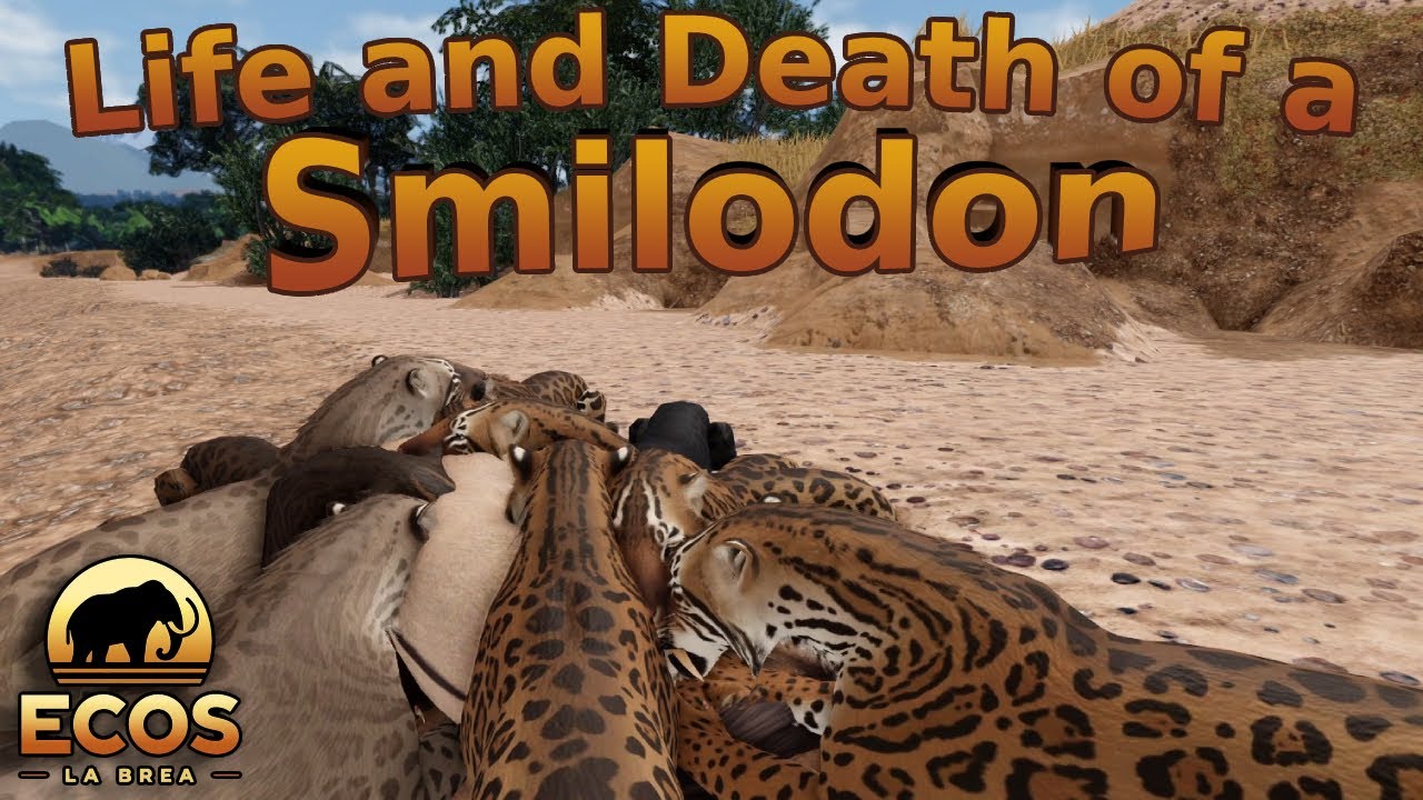 Life and Death of a Smilodon | Ecos: La Brea Documentary