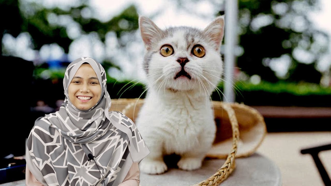 Sejarah dan Kontroversi Munchkin