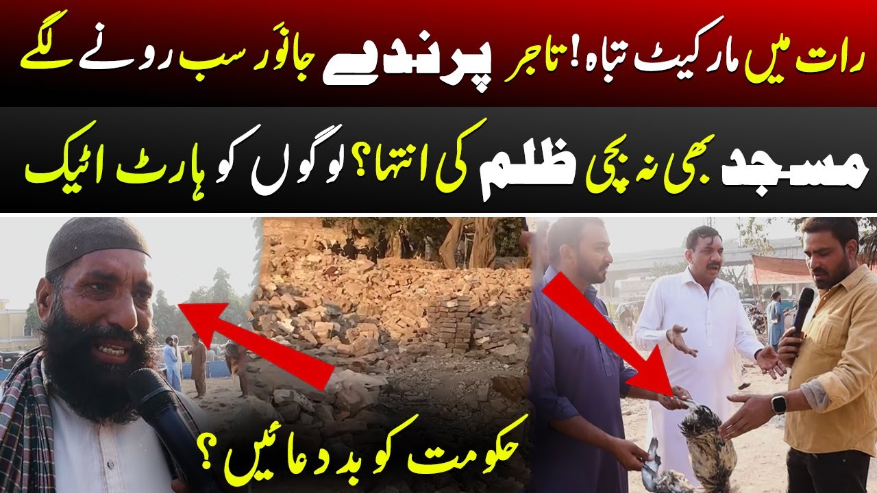 Lahore Birds Market Demolished Overnight | Traders & Animals Cry for Justice | Heartbreaking Scenes