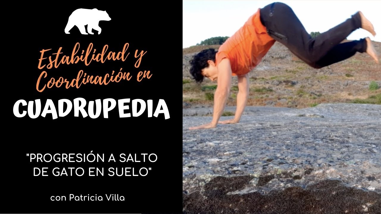 Progresiones a Salto de Gato en Suelo