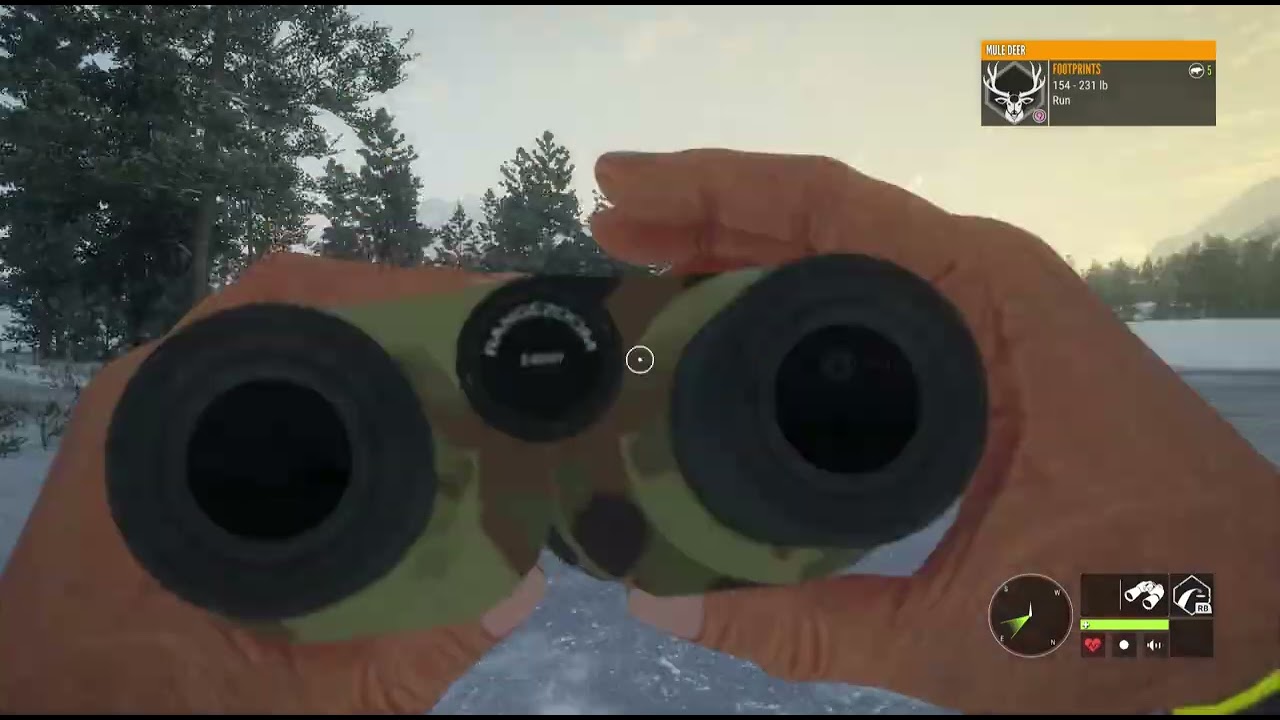 the hunter call of the wild first vid???