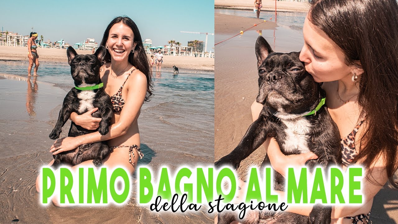 PORTO IL MIO CANE AL MARE🌊| primo bagno della stagione per Yoda