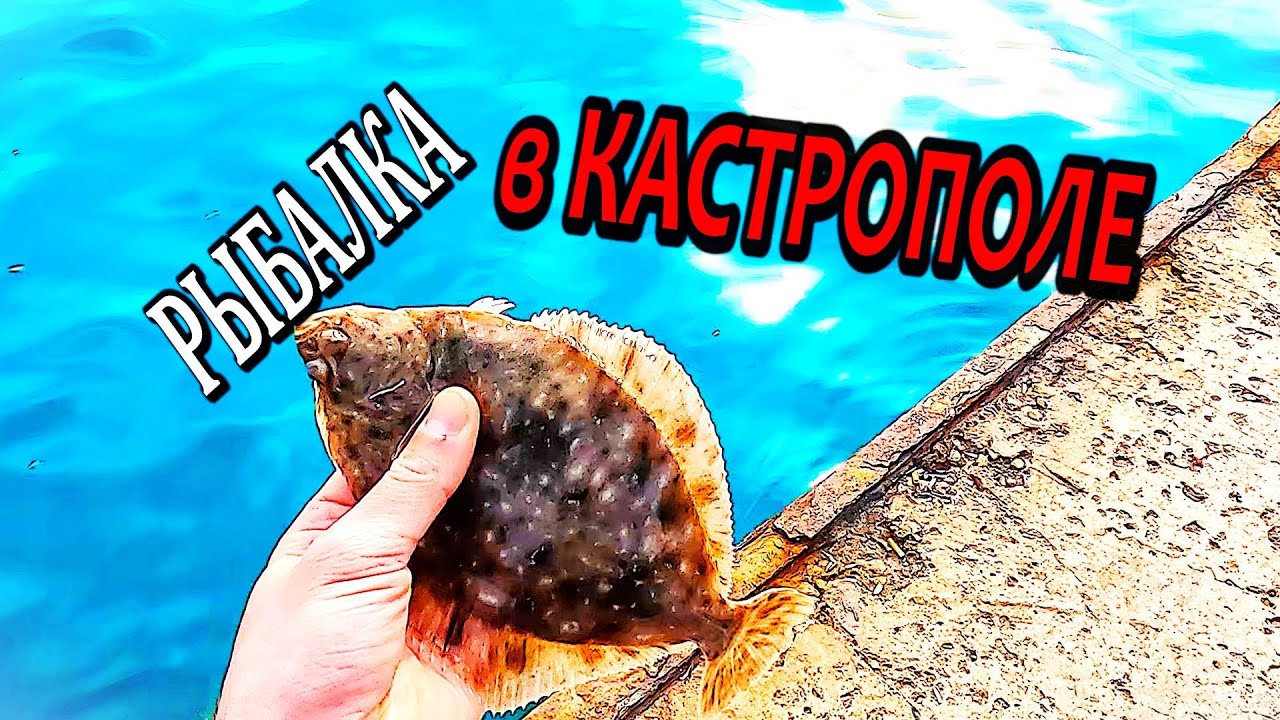 Рыбалка на Черном Море Весной. Кастрополь Ловля Камбалы Глосса