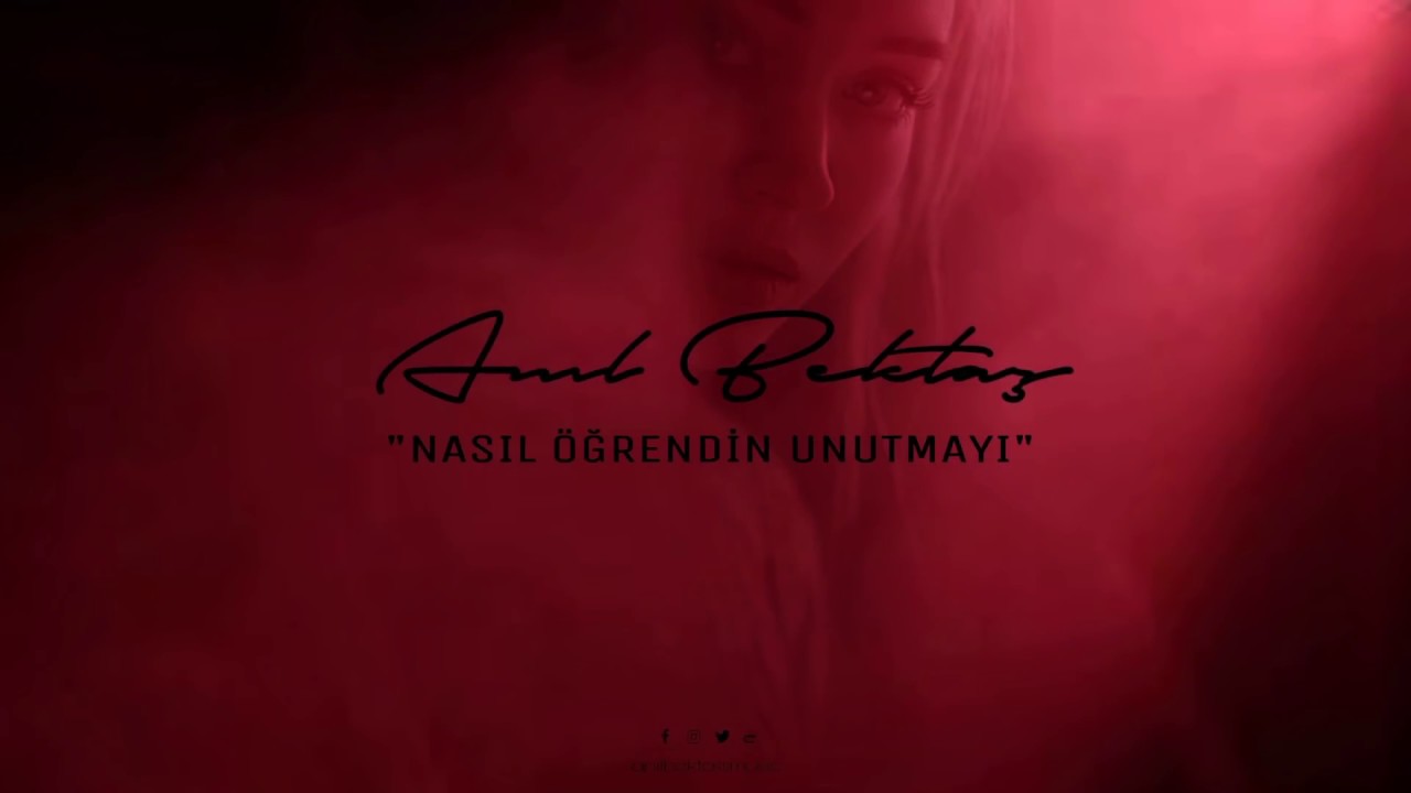 Anıl Bektaş - Nasıl Öğrendin Unutmayı